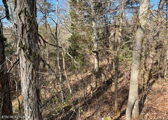 Property at Happy Hollow Lane Ln, Sevierville, TN 37876