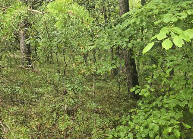 Property at 423 Saint George Dr, Crossville, TN 38558