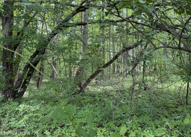 Property at Lollar Dr, Monterey, TN 38574