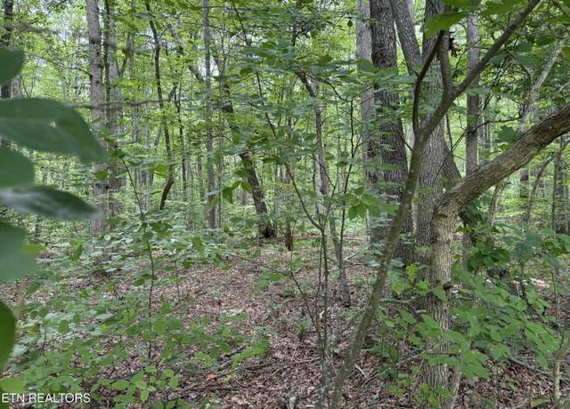 Property at Lollar Dr, Monterey, TN 38574