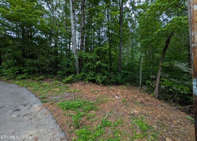 Property at 438 Kurt's Corner Rd, Townsend, TN 37882