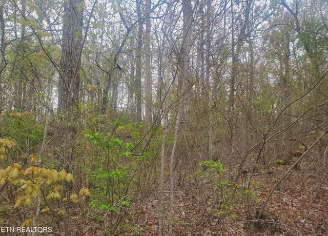 Property at 8646 Cherokee Trl, Crossville, TN 38572