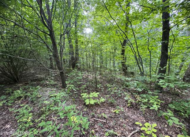 Property at 1884 Woodland Way, Newport, TN 37821