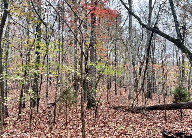 Property at Lot 7 Raby Hollow Rd, Kingston, TN 37763