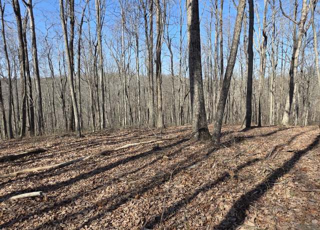 Property at Oak Pl, Monterey, TN 38574