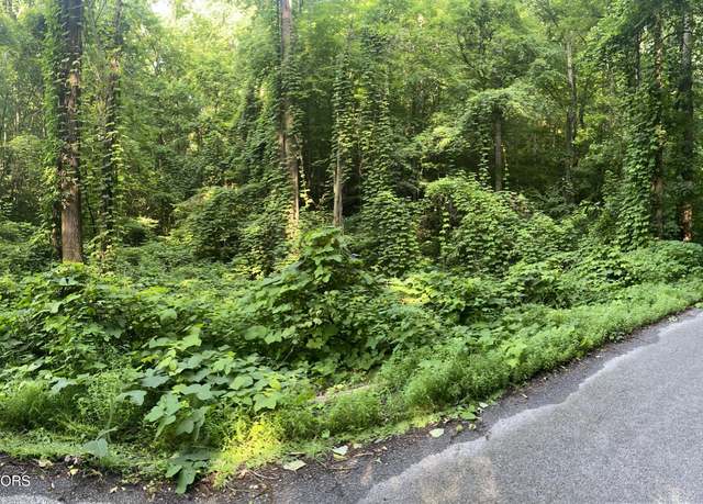 Property at Lower Reinhart Rd, Dandridge, TN 37725