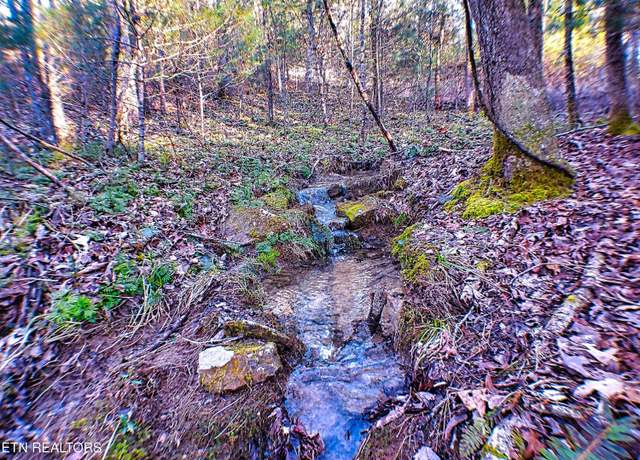 Property at 144 Charlie Jones Rd, Deer Lodge, TN 37726