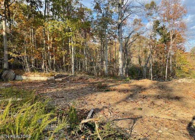 Property at 1707 Paint Rock Ferry Rd, Kingston, TN 37763