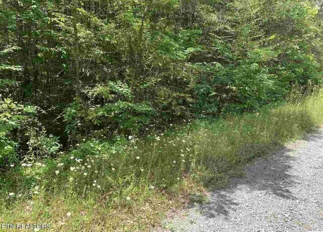 Property at Lot 34 Hedge Maple Way, Del Rio, TN 37727