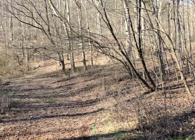 Property at Red Ankle Rd, Sweetwater, TN 37874