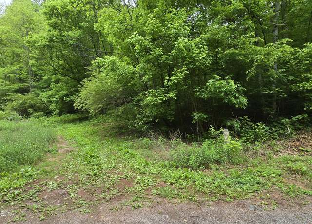 Property at Red Ankle Rd, Sweetwater, TN 37874