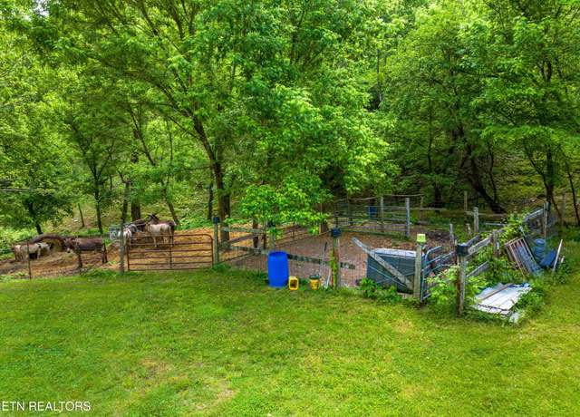 Property at Tract 4 Sandy Valley Rd, Rogersville, TN 37857