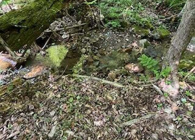 Property at Reagan Springs Rd, Seymour, TN 37865