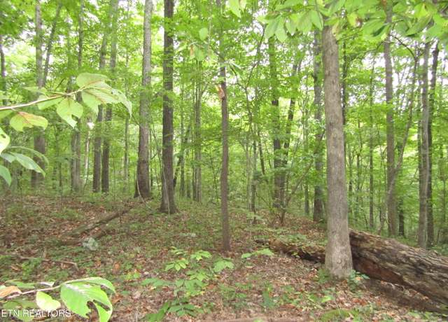 Property at Lot 15 Cheyenne Dr, Jamestown, TN 38556