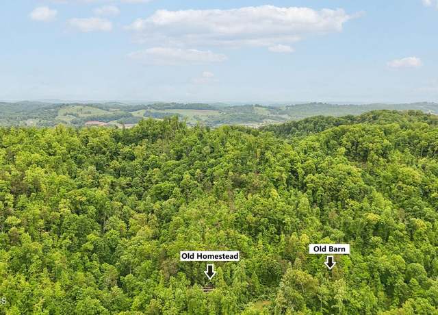 Property at 201 Birch Hollow Rd, Maynardville, TN 37807