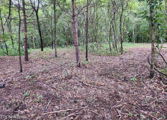 Property at Black Oak Road Rd, Clinton, TN 37716