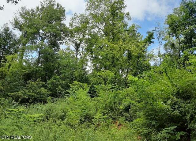 Property at 2036 Ridge Rd #16, Pigeon Forge, TN 37863