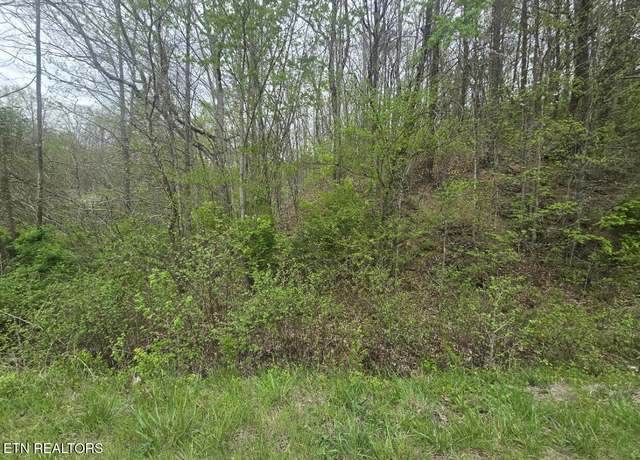 Property at Paint Rock Rd, Oneida, TN 37841