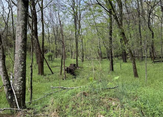 Property at 00 Mary Ln, Rutledge, TN 37861