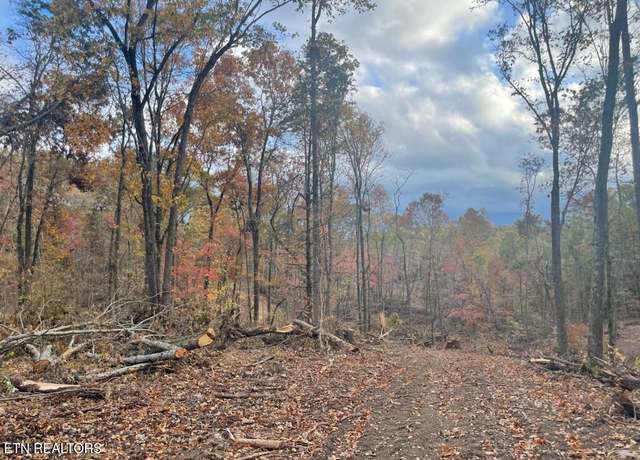 Property at Cedar Grove Rd, Loudon, TN 37774