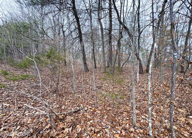 Property at Lot 45 Zuni Way, Del Rio, TN 37727