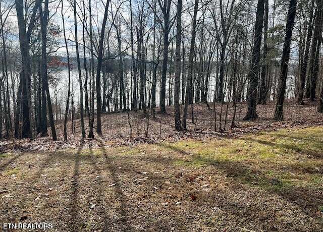 Property at E Shore Lot 117 Dr, Rockwood, TN 37854