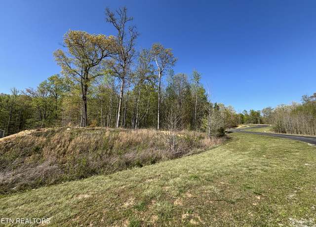 Property at Thief Neck View Dr, Rockwood, TN 37854
