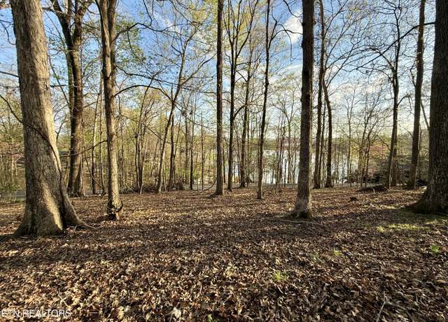 Property at Lot 119, Lot 122, Lot 123, & Lot 124, Mooresburg, TN 37811