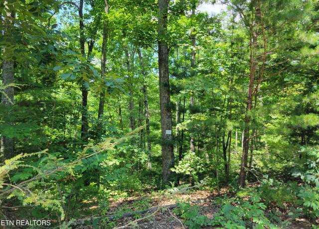 Property at Lot 45 Hickory Tree St, Sevierville, TN 37876