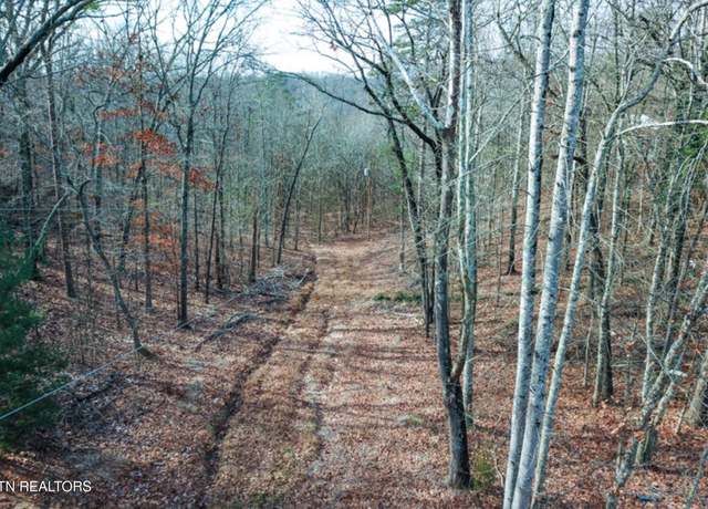 Property at Hall & Tarwater St, Rockwood, TN 37854