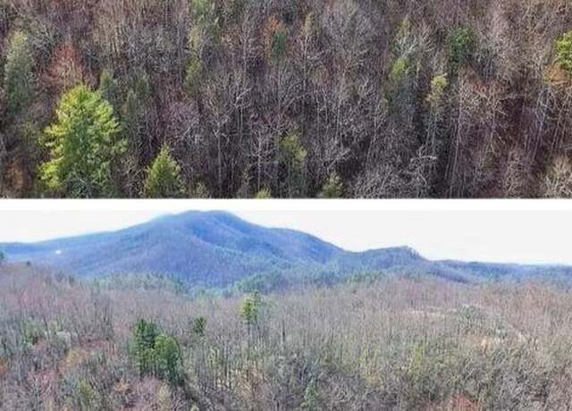 Property at E Balls Hollow Rd, Cosby, TN 37722