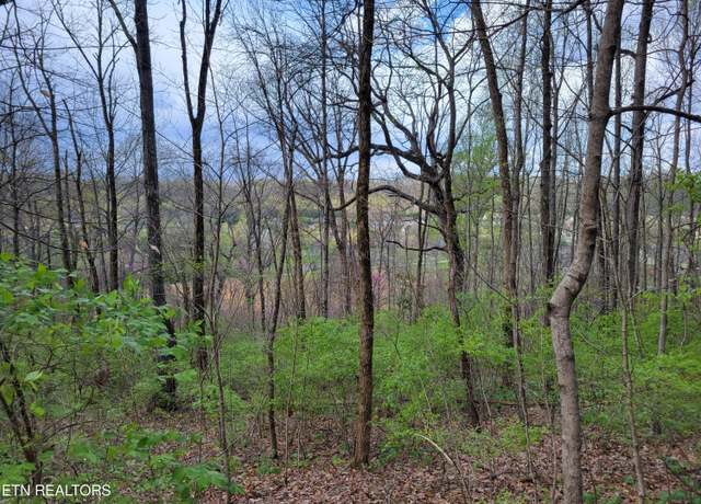 Property at 1127 Rifle Range Dr, Knoxville, TN 37918