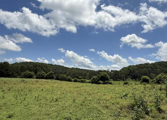 Property at 0 Newman Ln, Blaine, TN 37709