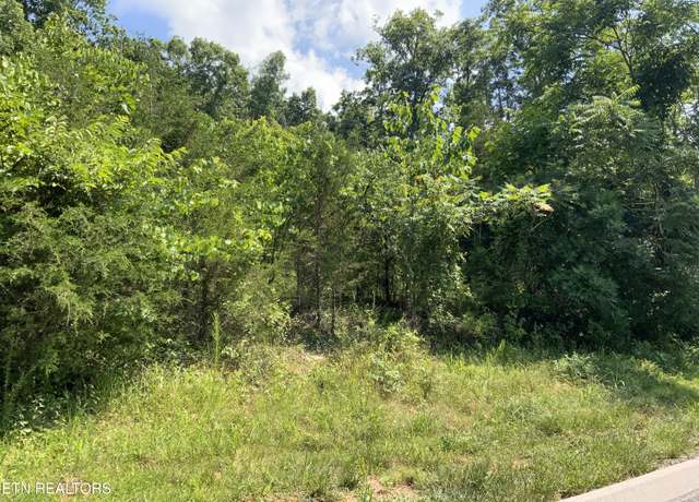 Property at Eagles Rdg, New Tazewell, TN 37825