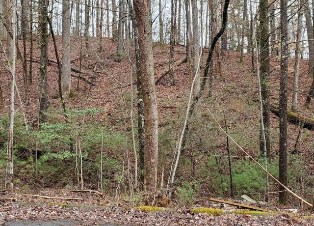 Property at Lot 12 Peace Ln, Sevierville, TN 37876