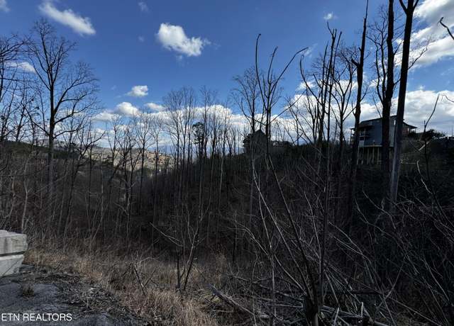 Property at Chestnut Dr, Gatlinburg, TN 37738