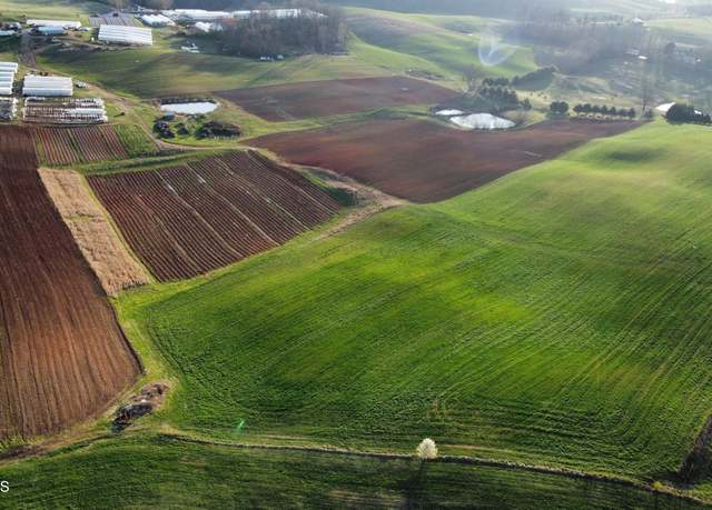 Property at 79 acres Perrin Hill Rd, Rutledge, TN 37861