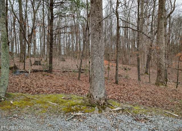 Property at 690 Dogwood Dr, Spring City, TN 37381