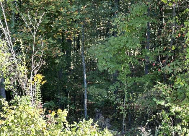 Property at Hathburn Dr, Rockwood, TN 37854