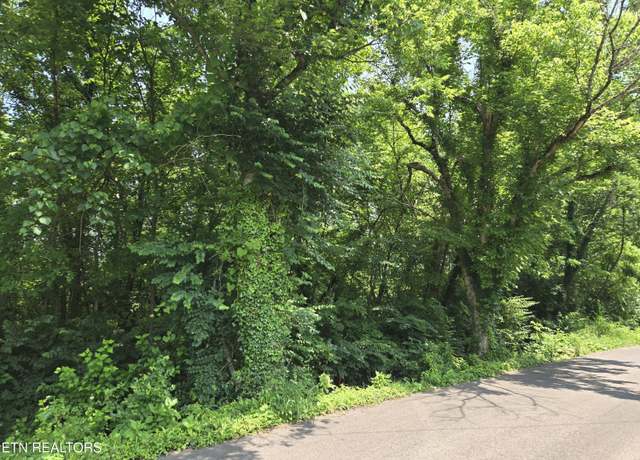 Property at 4105 Selma Ave, Knoxville, TN 37914