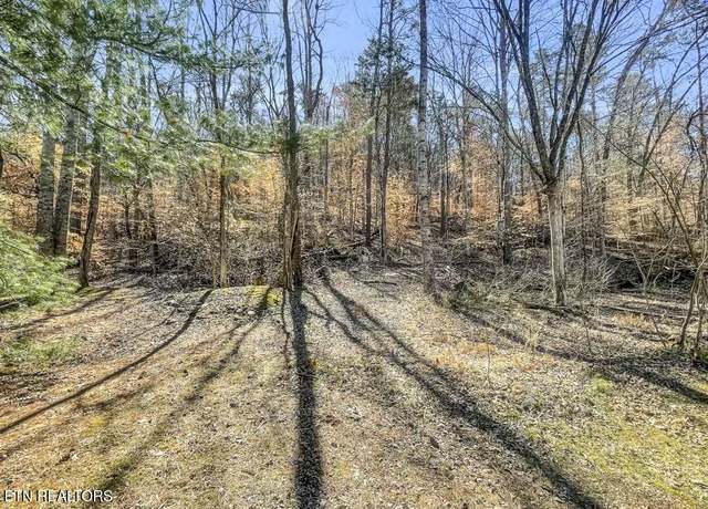 Property at K D Ln, Maynardville, TN 37807