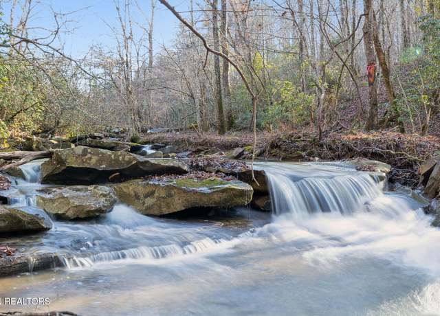 Property at 590 Hamby Ln, Robbins, TN 37852