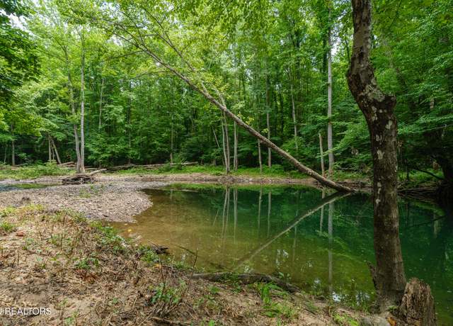 Property at 1.92 Ac Steel Tram Ridge Ln, Crawford, TN 38554