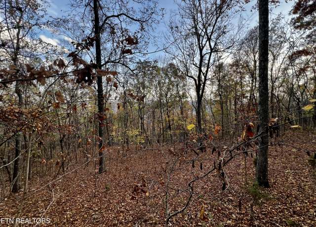Property at Lot 675 Chimney Rock Rd, New Tazewell, TN 37825