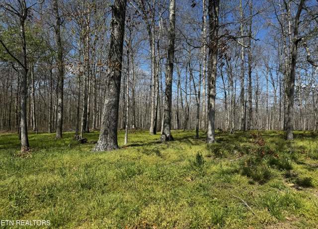 Property at Triple J Trl, Jamestown, TN 38556