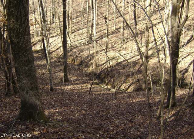 Property at 0 Torbett Road Rd, Spring City, TN 37381