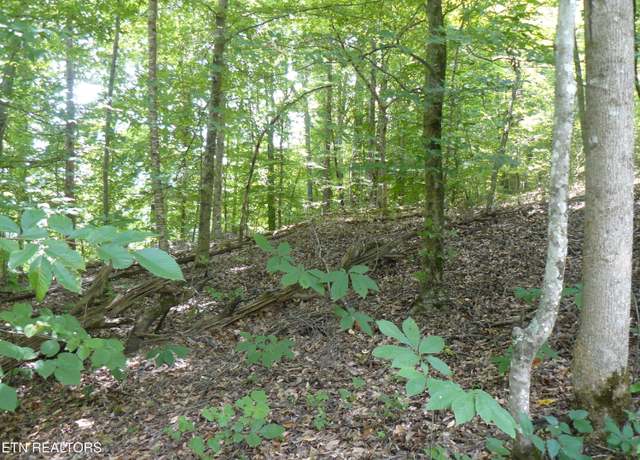 Property at Tanglewood Rd, Sharps Chapel, TN 37866