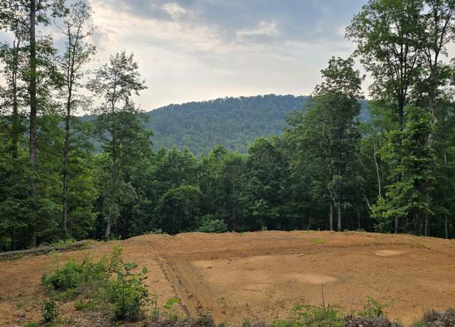 Property at 1133 Tomahawk Dr, Jamestown, TN 38556