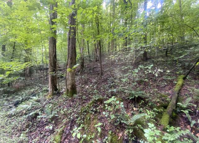 Property at Lot 63 Hiwassee View Dr, Jacksboro, TN 37757