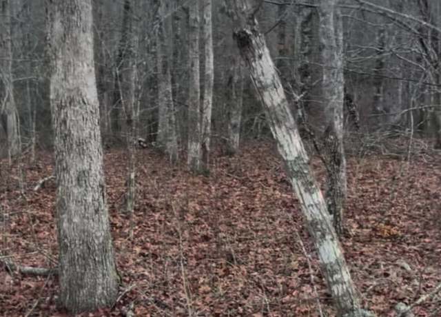 Property at Crystal Pointe, Monterey, TN 38574